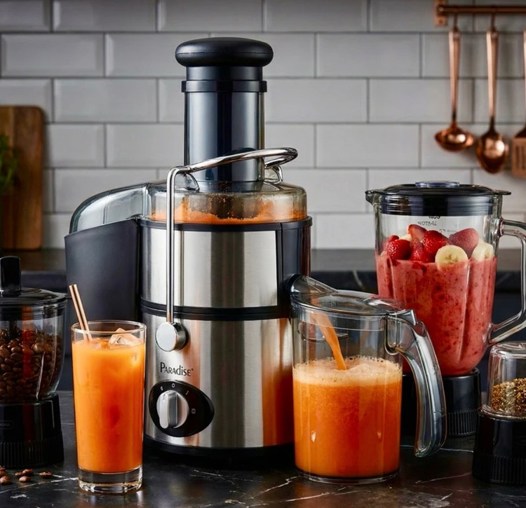 آبمیوهگیری چند کاره پارادایس مدل P-210